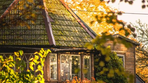 Wooden architecture
