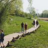 Pėsčiųjų takas palei Alandės upę