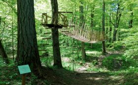 Cīrava Forest Park