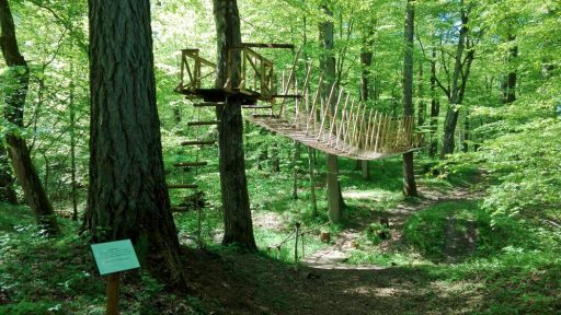 Cīravas mežaparks