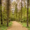 Waldpark von Gramzda mit Naturkino