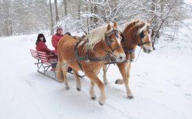 Aktyvaus poilsio komleksas