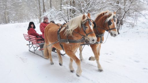 Aktīvās atpūtas komplekss Jura staļļi
