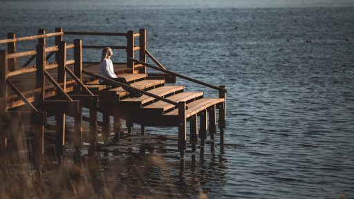 Zirgų salos gamtinis pėsčiųjų takas