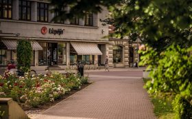 Rožu laukums 5/6
