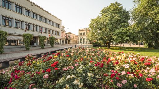 Pastaigu ekskursija  Tiksimies Rožu laukumā! 