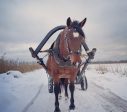 Winter activities in the surroundings of Liepāja