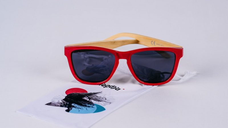 Polaroid top sunglasses edgars