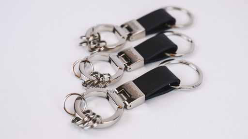 Key chain with rings