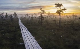 Nature in the Dienvidkurzeme Region