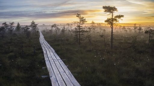 Daba Dienvidkurzemes novadā