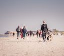 20. septembrī Liepājā notiks TrekTours desmitgades gājiens: aicinājums rēķināties ar stāvvietu ierobežojumiem