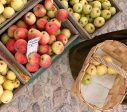 2. oktobrī Liepājas muzejs aicina uz Hoijeres pagalma ābolu tirgu